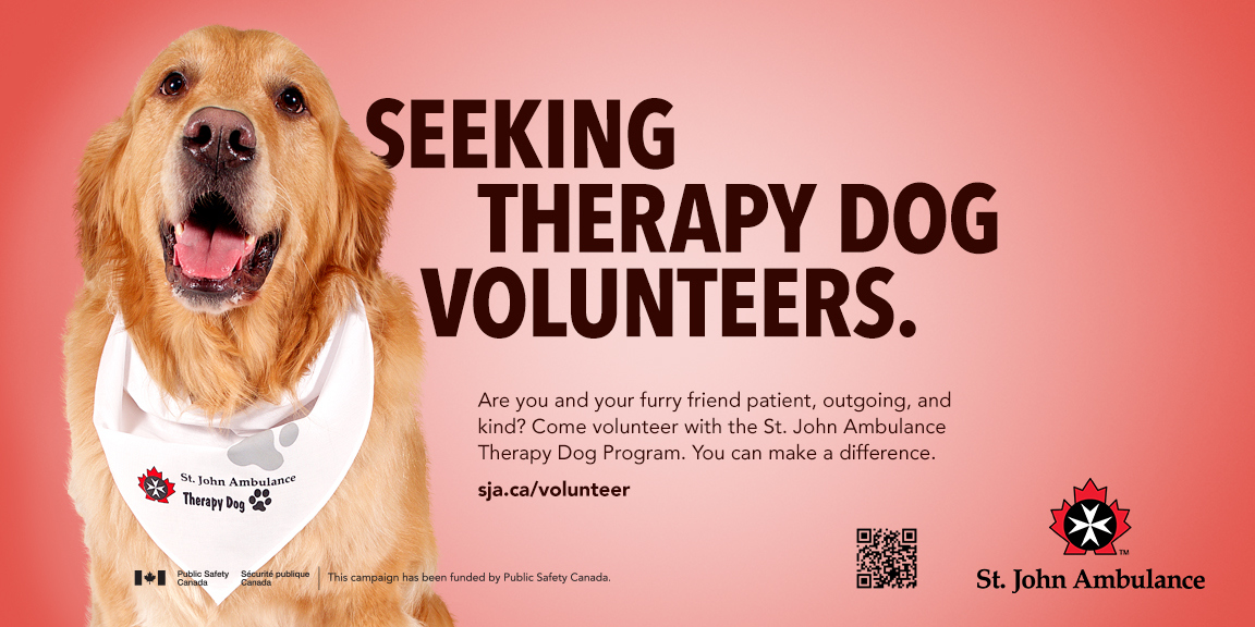 therapy-dog-become-a-volunteer-st-john-ambulance